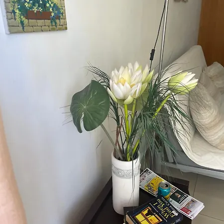 Vip On Makenzie ラルナカ